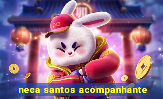 neca santos acompanhante